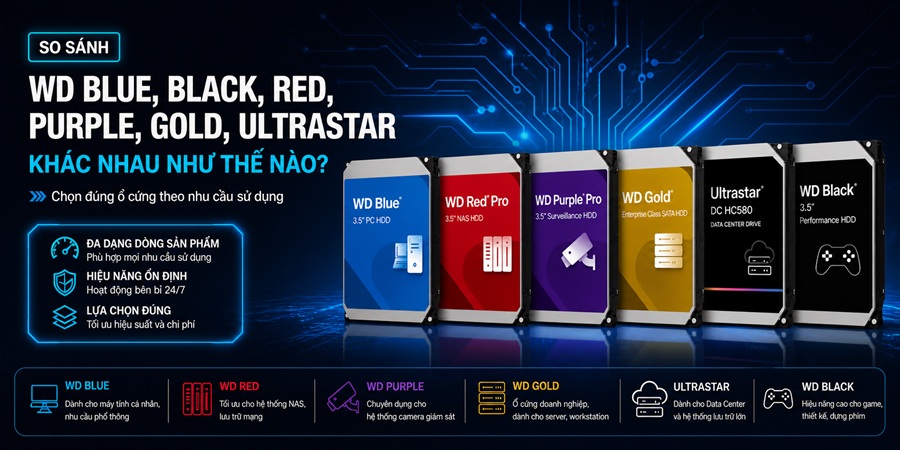 WD Blue, Black, Red, Purple, Gold, Ultrastar khác nhau như thế nào? Chọn đúng ổ cứng Western Digital theo nhu cầu