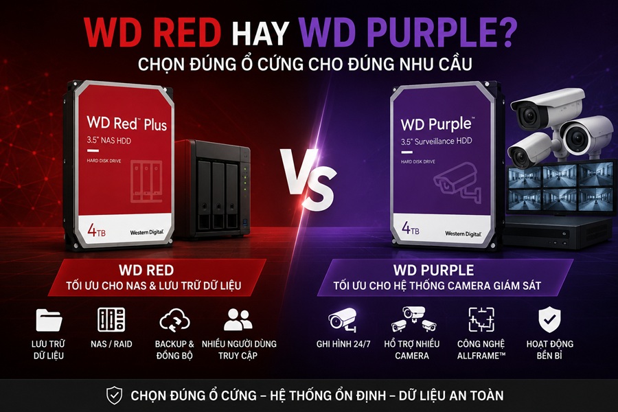 Khi nào nên dùng WD Red và khi nào nên chọn WD Purple?