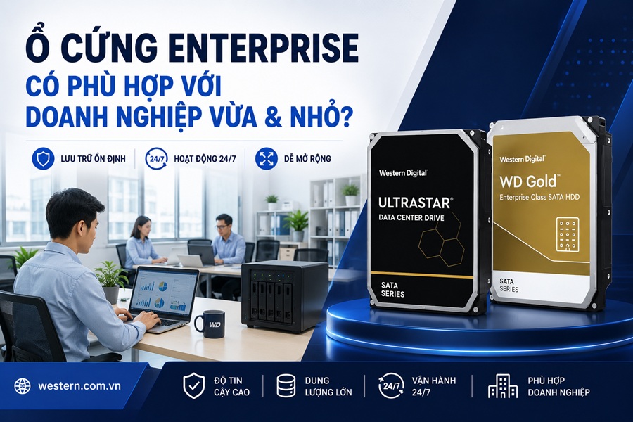 Ổ cứng Enterprise có phù hợp cho doanh nghiệp vừa và nhỏ không?