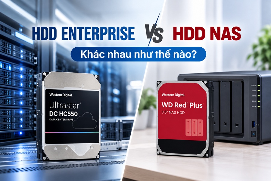 HDD Enterprise và HDD NAS khác nhau như thế nào? Nên chọn WD Ultrastar hay WD Red?
