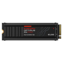 Ổ cứng SSD 8TB SanDisk Optimus GX PRO 8100 Heatsink NVMe (SDSP82800TAH-000E0)